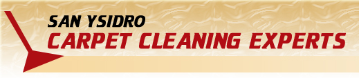 San Ysidro Carpet Cleaning Experts