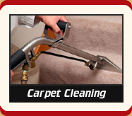 San Ysidro Carpet Cleaning Experts carpet cleaning