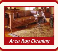 San Ysidro Carpet Cleaning Experts area rug cleaning