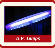 San Ysidro Carpet Cleaning Experts U.V. Lamps